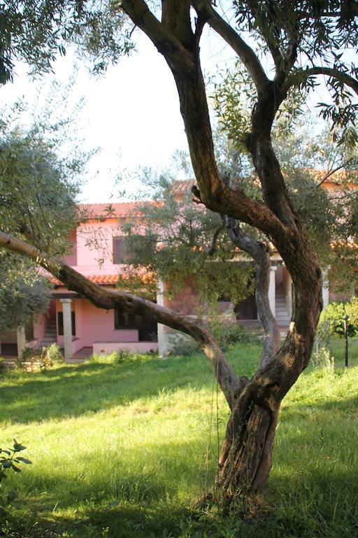 Residence Approdo Verde San Teodoro  Camera foto